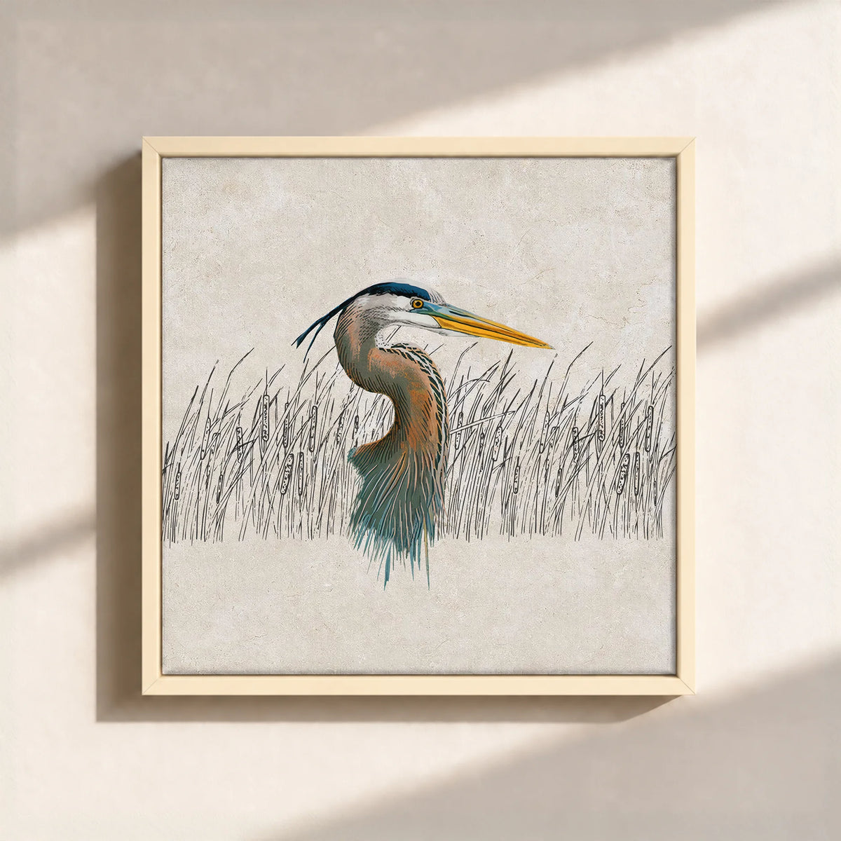 Great Blue Heron Canvas Print (Framed)
