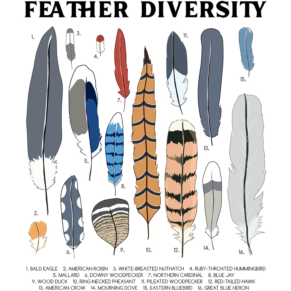 Feather Diversity T-shirt
