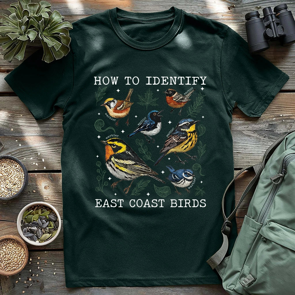 Beautiful East coast warbler birds.