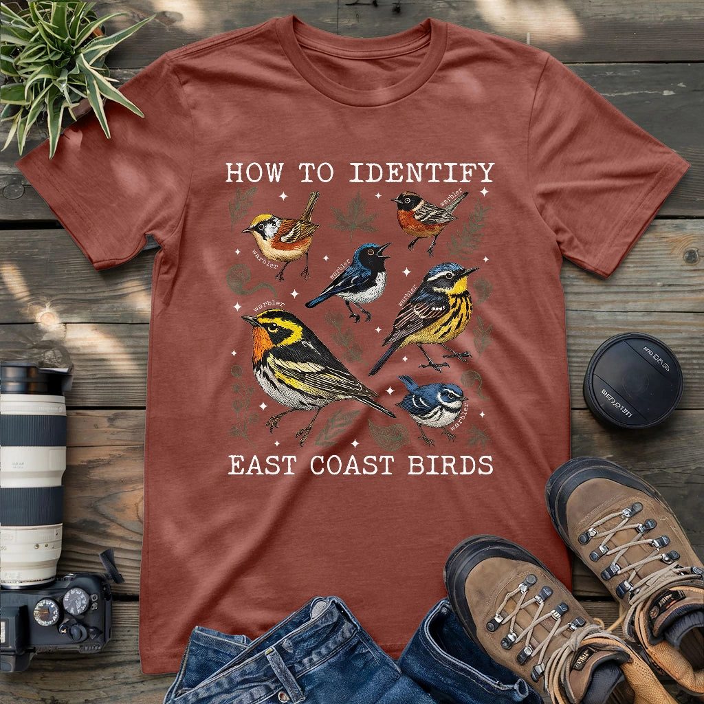 Beautiful East coast warbler birds.