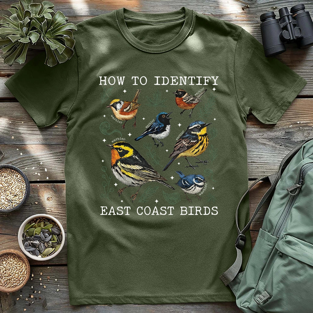 Beautiful East coast warbler birds.
