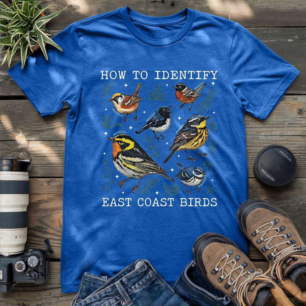 Beautiful East coast warbler birds.