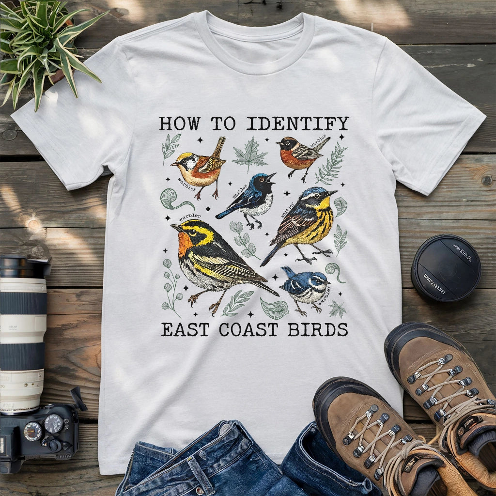 Beautiful East coast warbler birds.