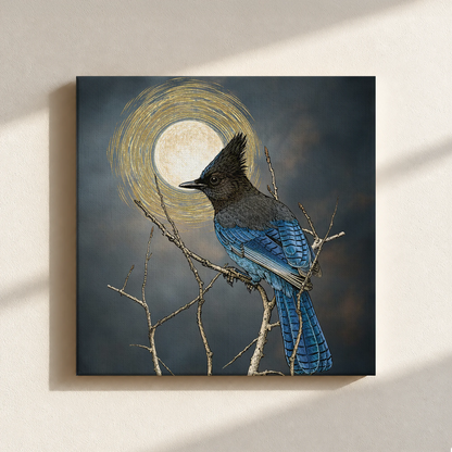 Steller's Jay Under Forest Moonlight Canvas Print
