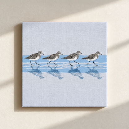 Tidewalking Sandpipers Canvas Print