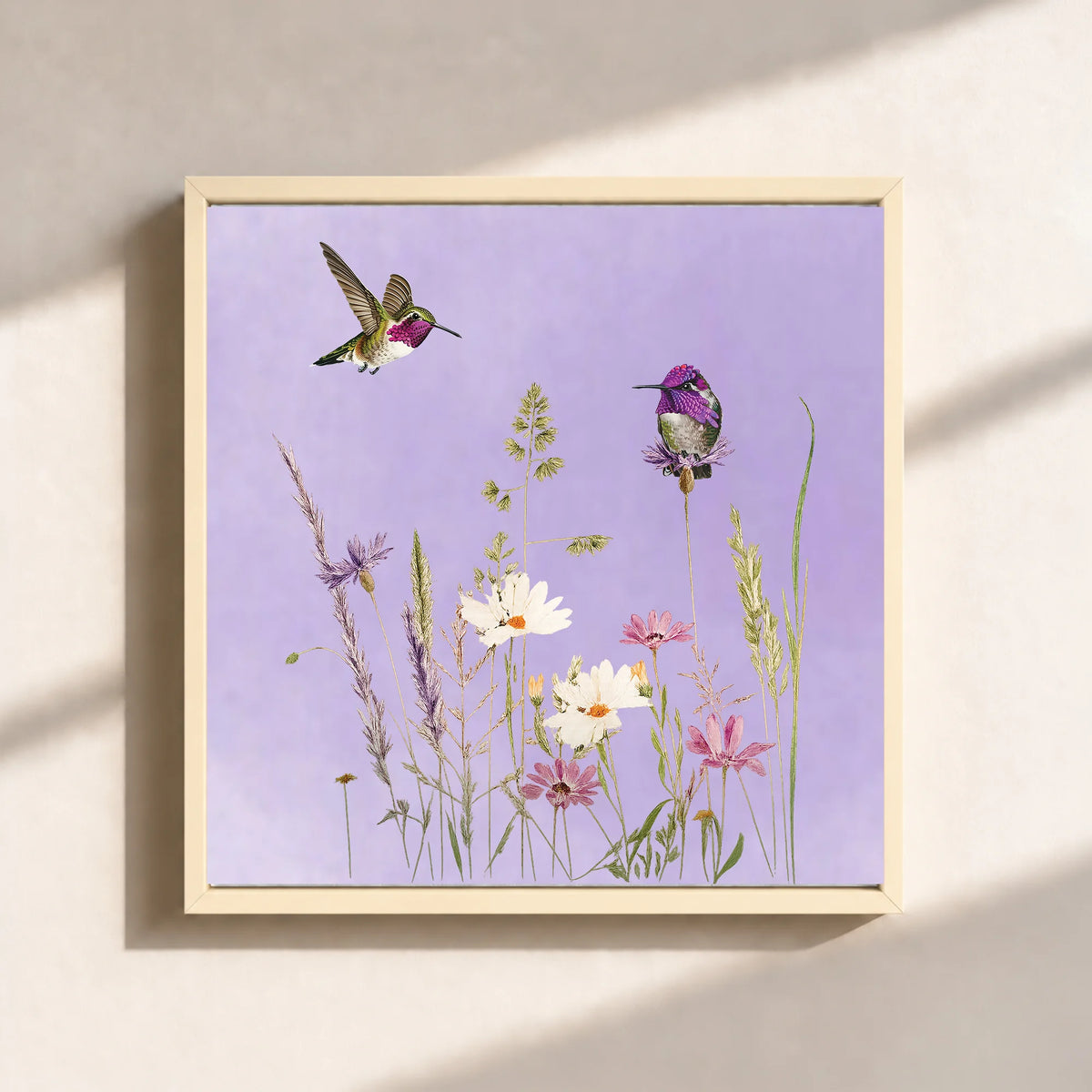 Hummingbirds And Wildflowers Canvas Print (Framed)