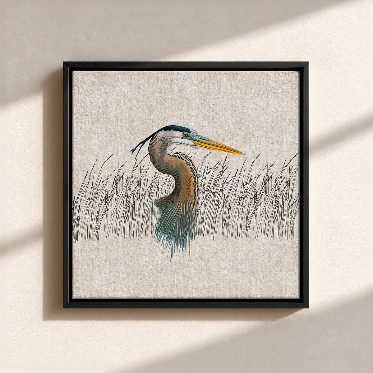 Great Blue Heron Canvas Print (Framed)