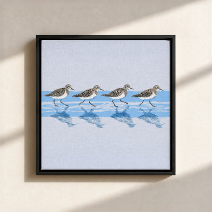 Tidewalking Sandpipers Framed Canvas Print