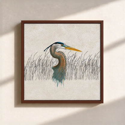 Great Blue Heron Canvas Print (Framed)
