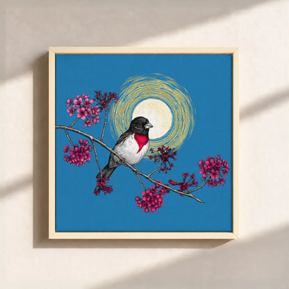 Grosbeak Under Forest's Moonlight Canvas Print (Framed)