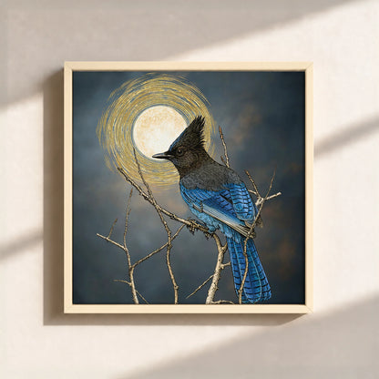 Steller's Jay Under Forest Moonlight Framed Canvas Print