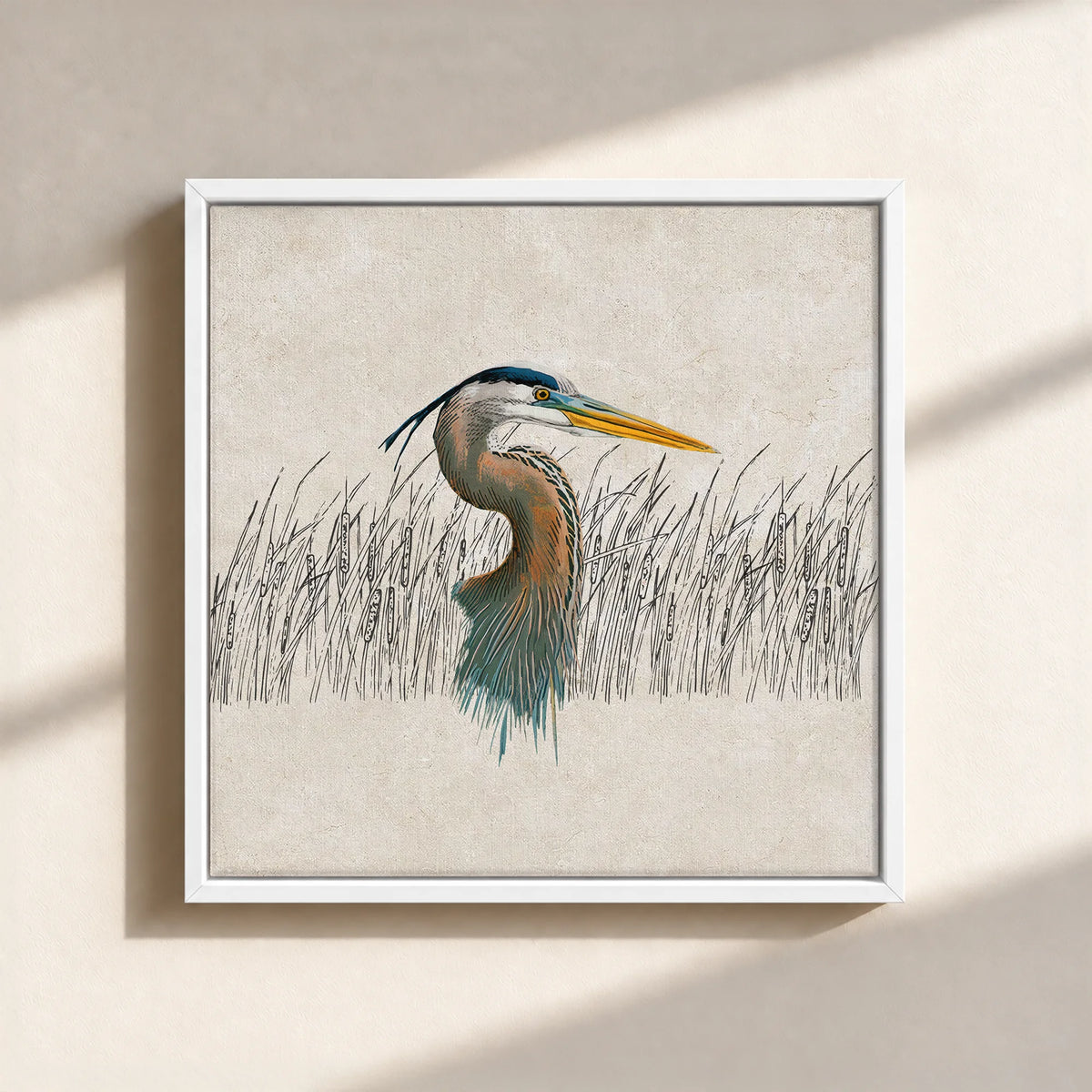 Great Blue Heron Canvas Print (Framed)
