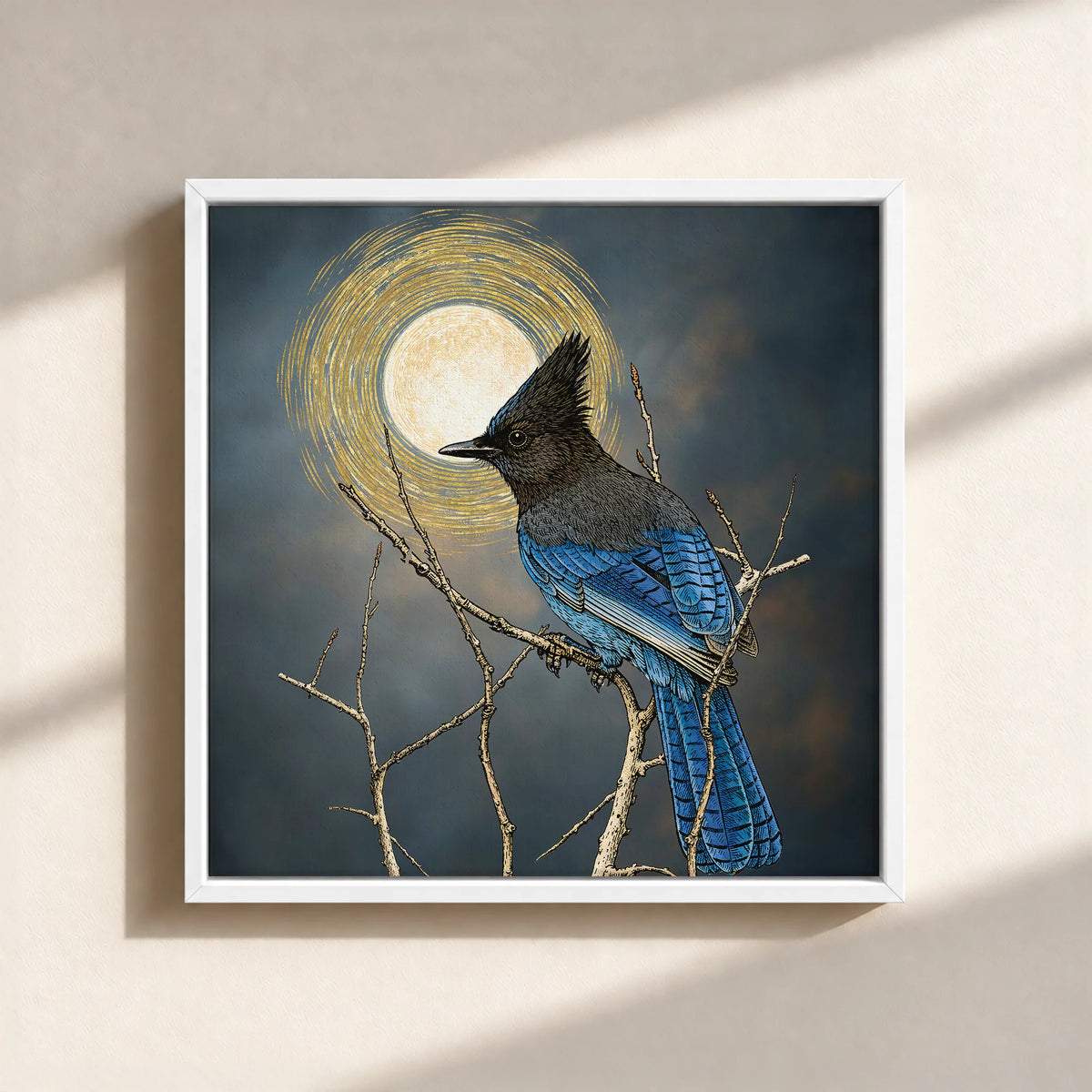 Steller's Jay Under Forest Moonlight Framed Canvas Print
