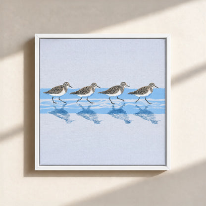Tidewalking Sandpipers Framed Canvas Print