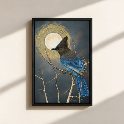 Steller's Jay Under Forest Moonlight Framed Canvas Print