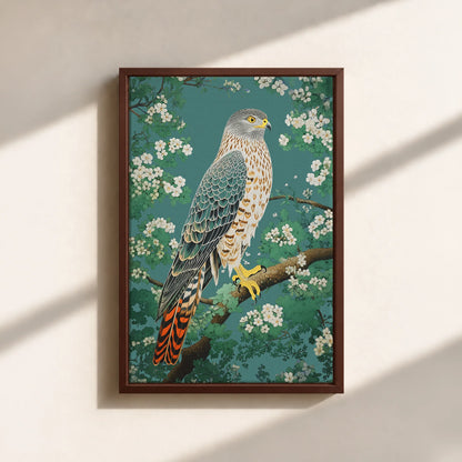 Hawk in Bloom Canvas Print (Framed)