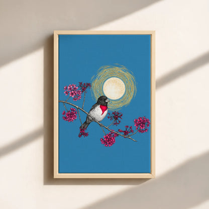 Grosbeak Under Forest's Moonlight Canvas Print (Framed)