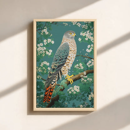 Hawk in Bloom Canvas Print (Framed)