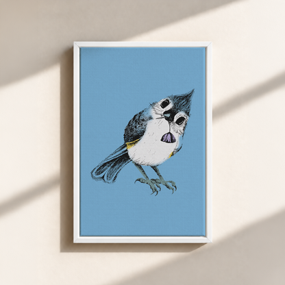 Bird Stare Canvas Print (Framed)
