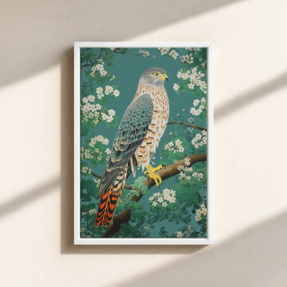 Hawk in Bloom Canvas Print (Framed)