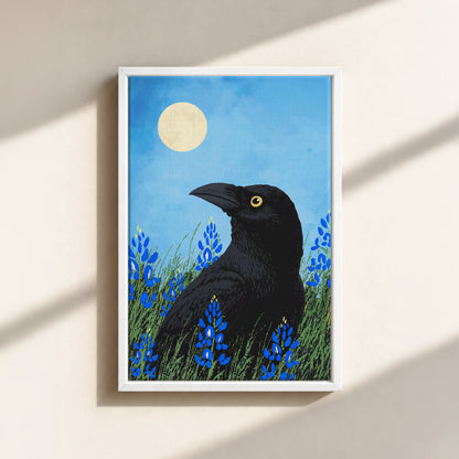 Moonlit Raven & Bluebonnets Canvas Print (Framed)