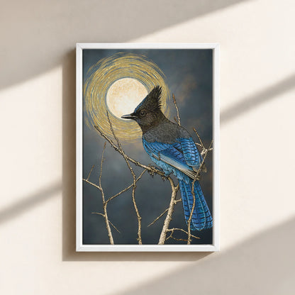 Steller's Jay Under Forest Moonlight Framed Canvas Print