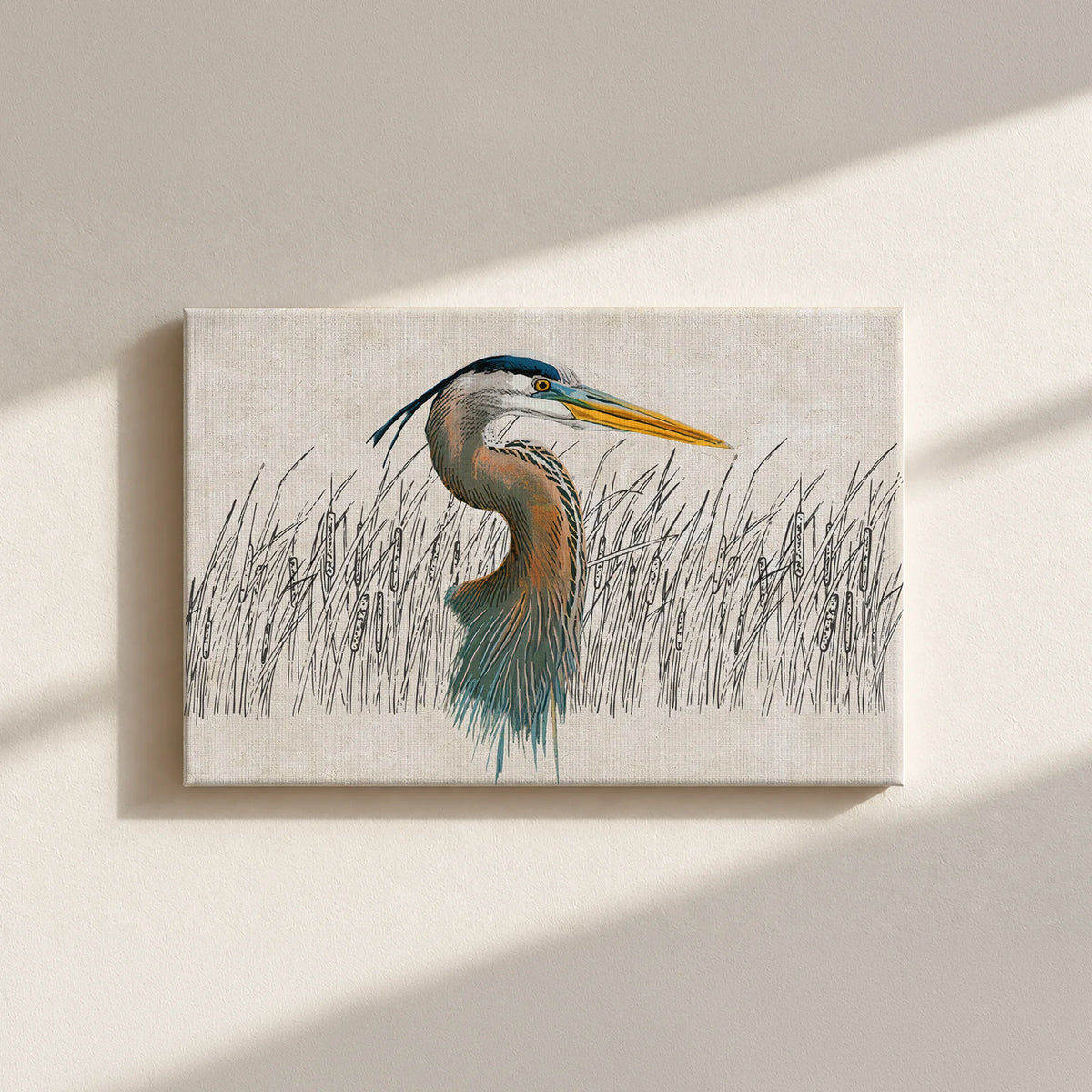 Great Blue Heron Canvas Print