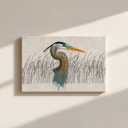 Great Blue Heron Canvas Print
