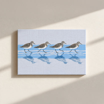 Tidewalking Sandpipers Canvas Print