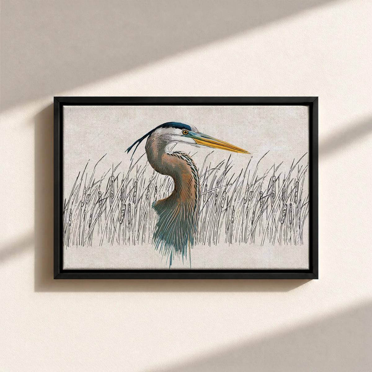 Great Blue Heron Canvas Print (Framed)
