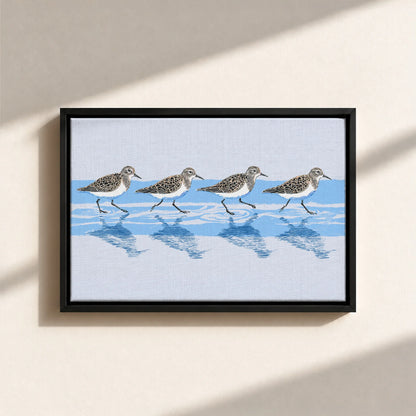 Tidewalking Sandpipers Framed Canvas Print