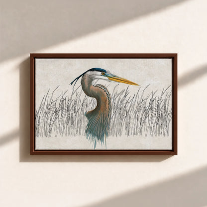 Great Blue Heron Canvas Print (Framed)