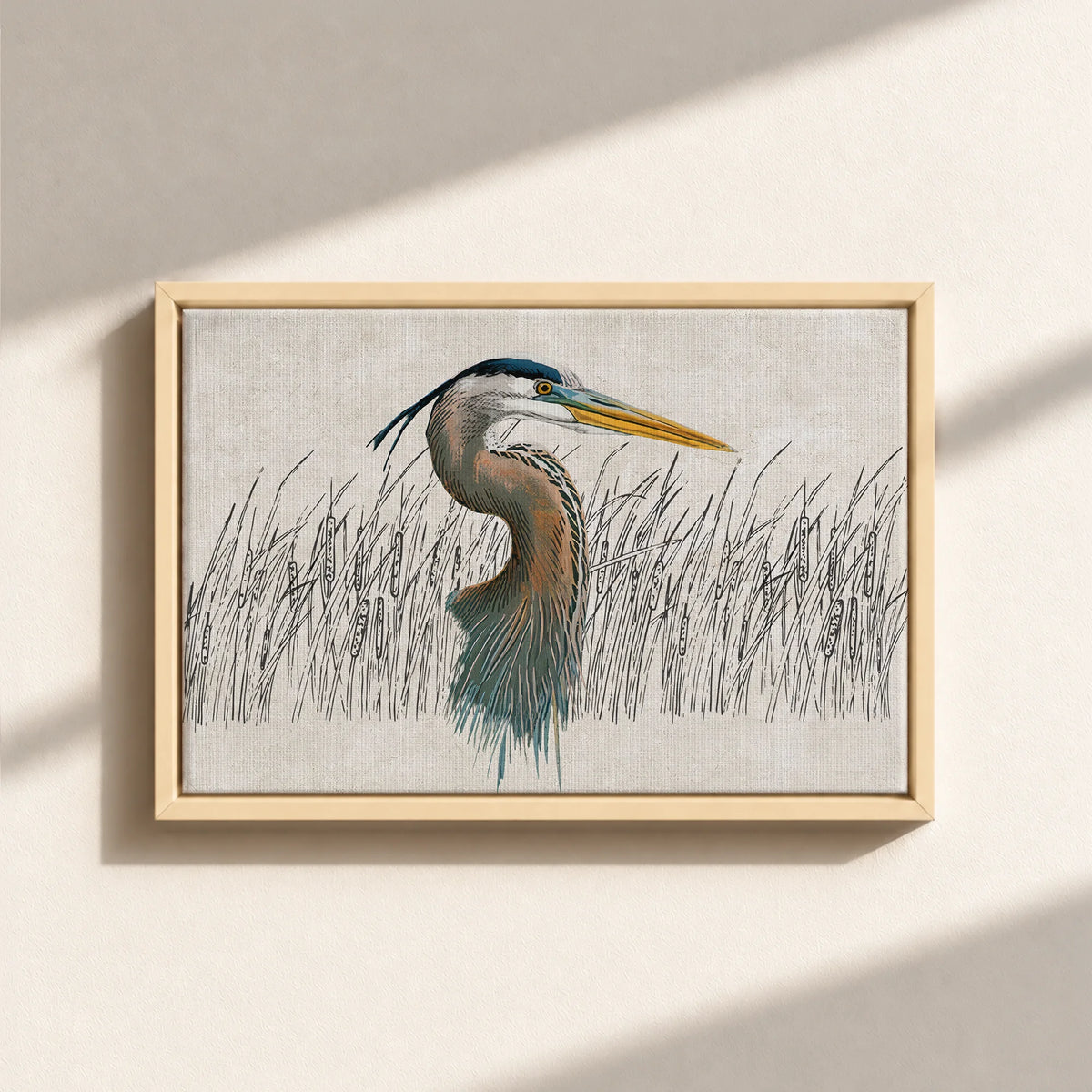 Great Blue Heron Canvas Print (Framed)