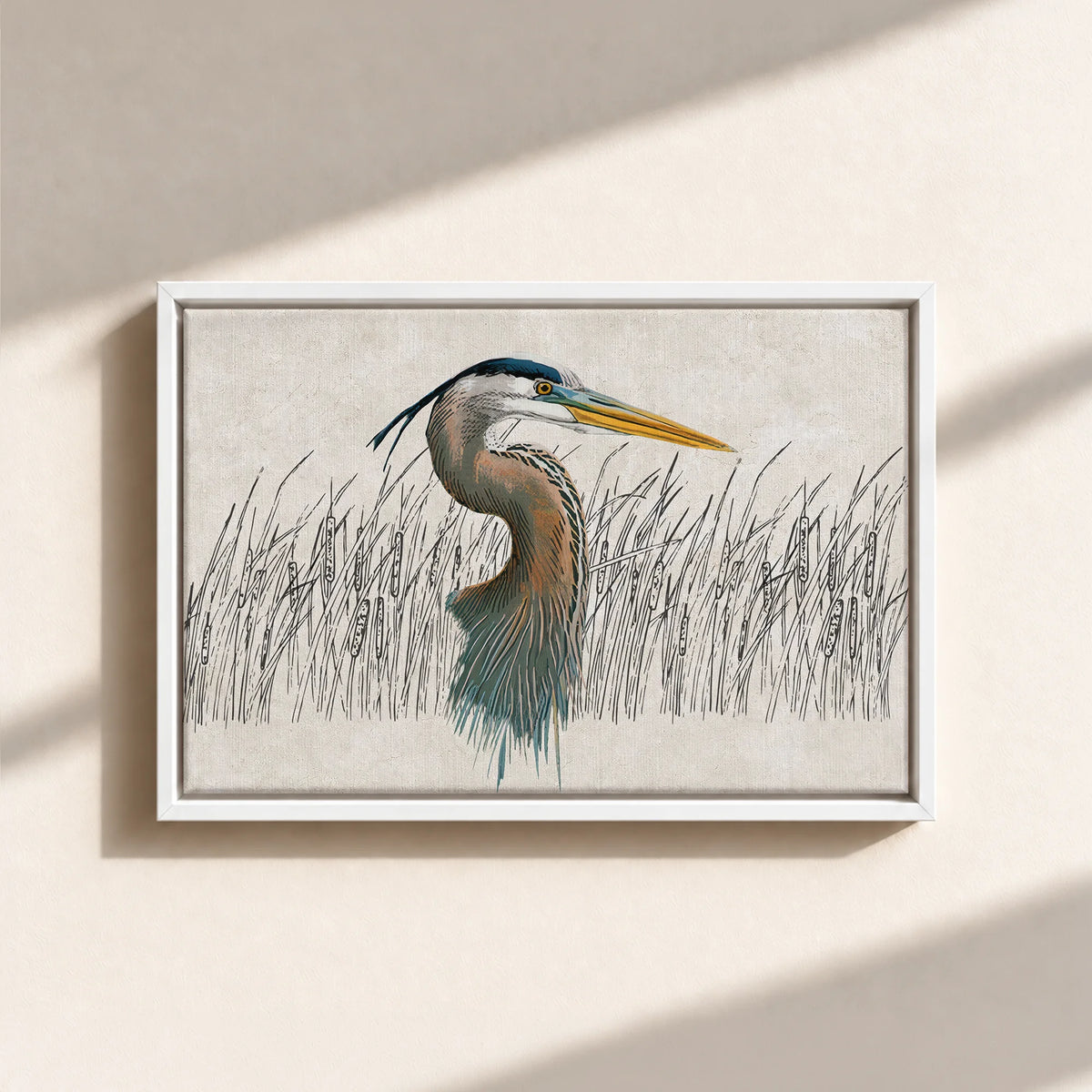 Great Blue Heron Canvas Print (Framed)