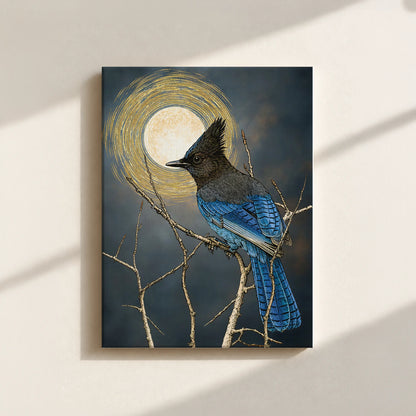 Steller's Jay Under Forest Moonlight Canvas Print