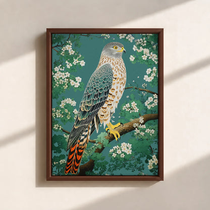 Hawk in Bloom Canvas Print (Framed)