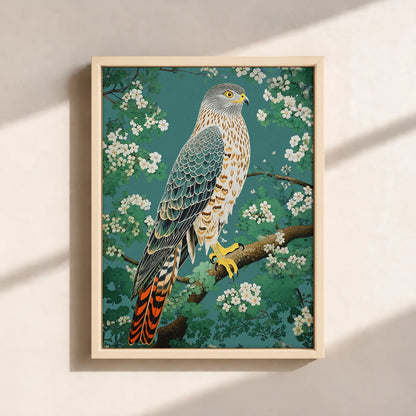 Hawk in Bloom Canvas Print (Framed)