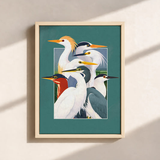 Wetland Assembly Framed Canvas Print