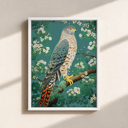 Hawk in Bloom Canvas Print (Framed)