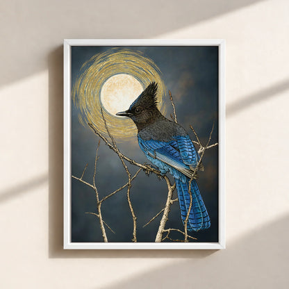Steller's Jay Under Forest Moonlight Framed Canvas Print