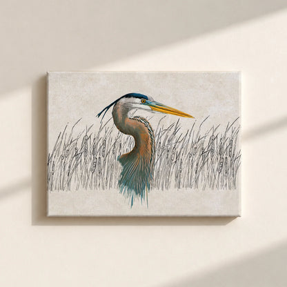 Great Blue Heron Canvas Print