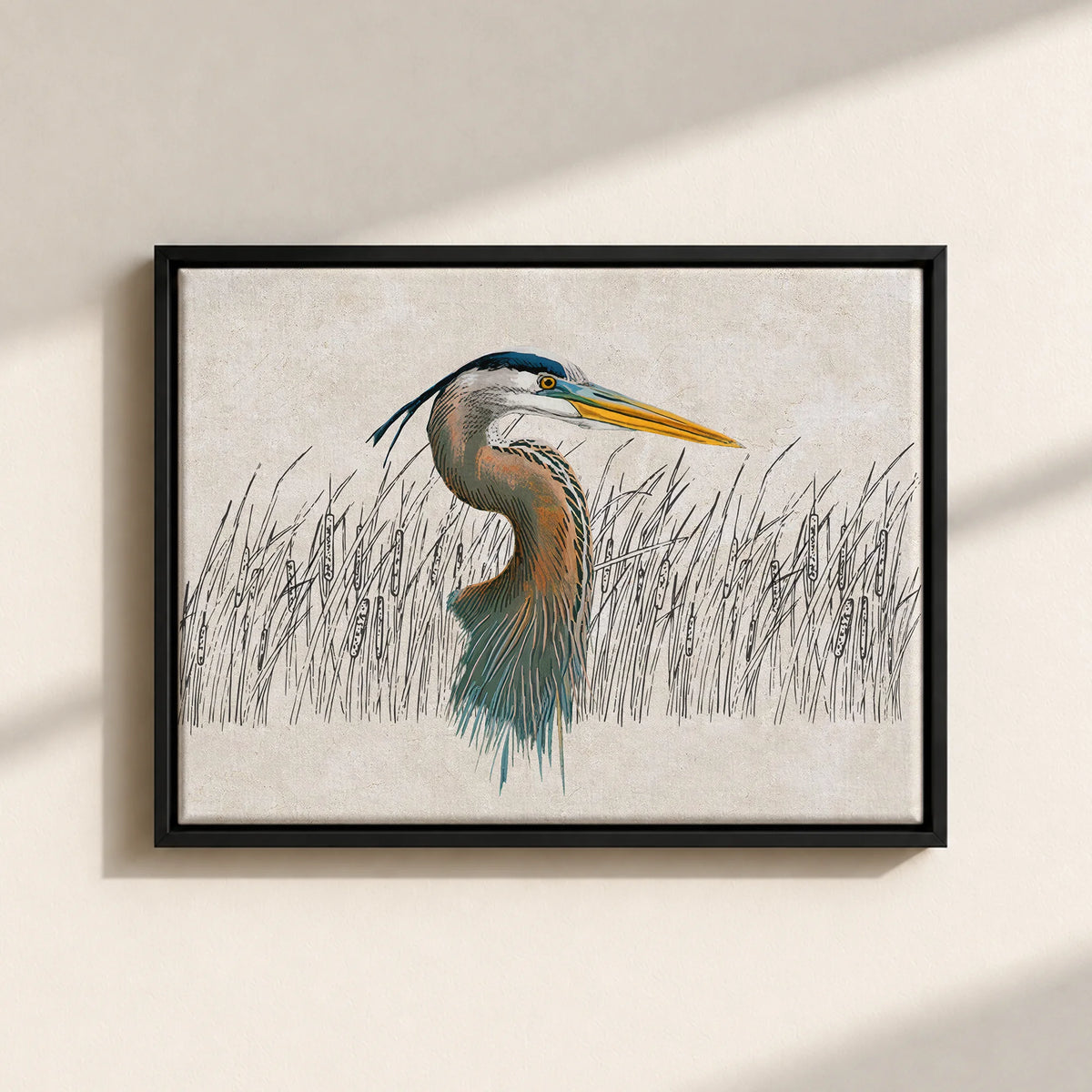 Great Blue Heron Canvas Print (Framed)
