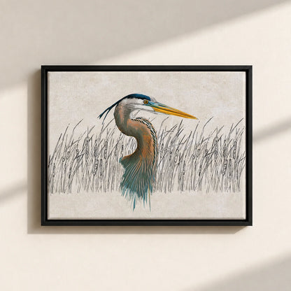 Great Blue Heron Canvas Print (Framed)