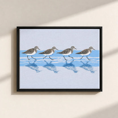 Tidewalking Sandpipers Framed Canvas Print