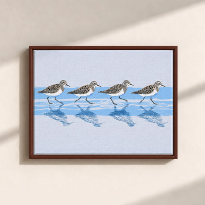 Tidewalking Sandpipers Framed Canvas Print