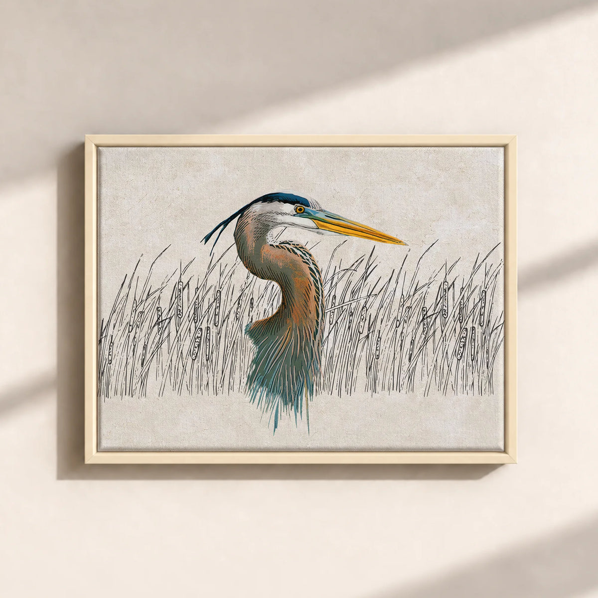 Great Blue Heron Canvas Print (Framed)