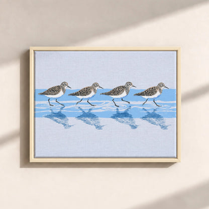 Tidewalking Sandpipers Framed Canvas Print