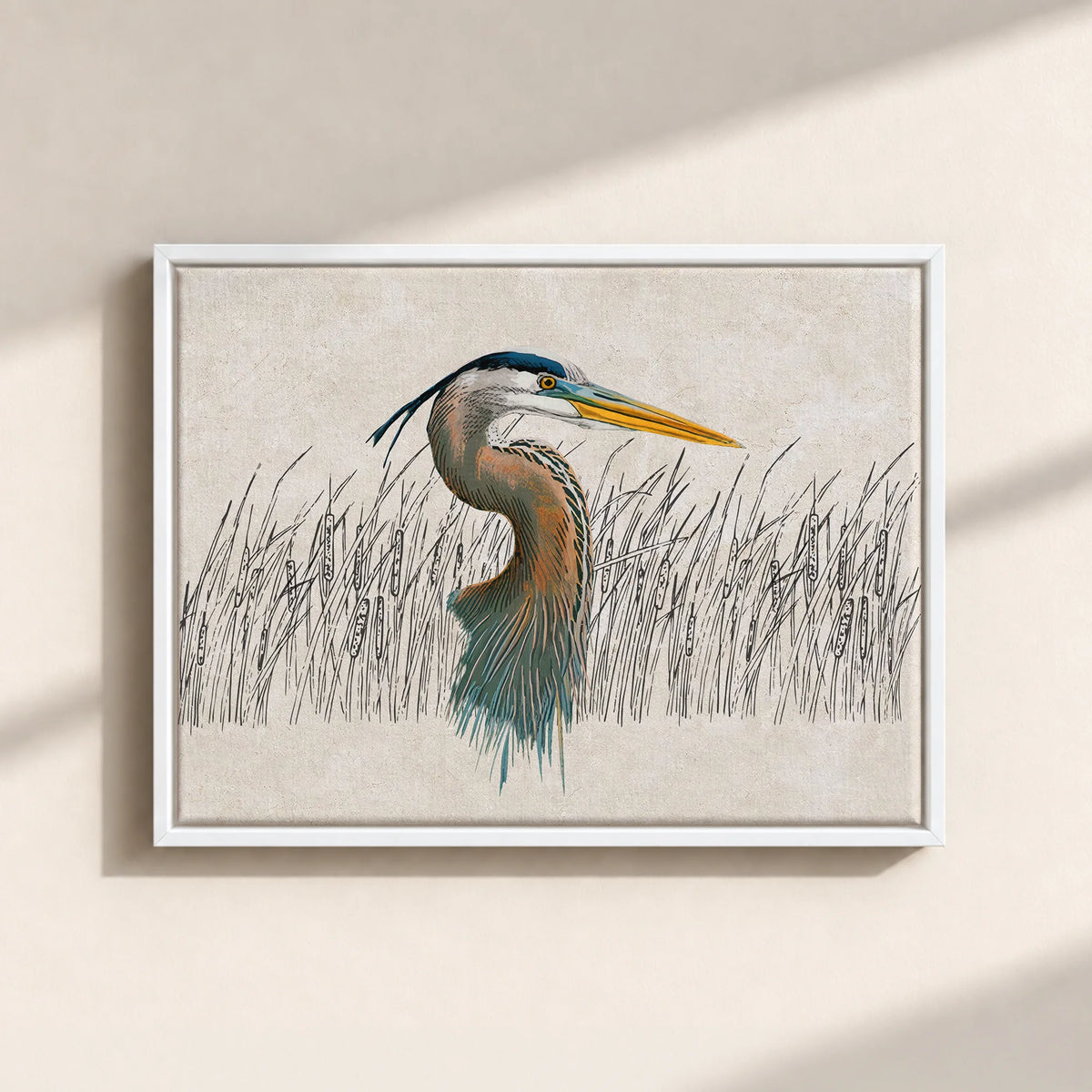 Great Blue Heron Canvas Print (Framed)