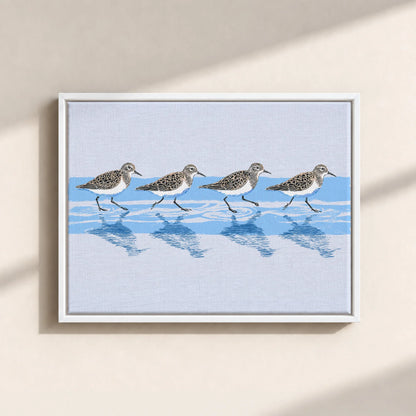 Tidewalking Sandpipers Framed Canvas Print