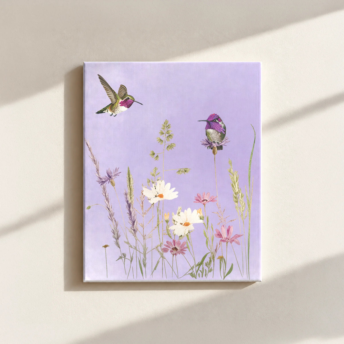 Hummingbirds And Wildflowers Canvas Print